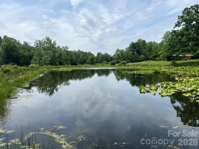 1.5 acre pond
