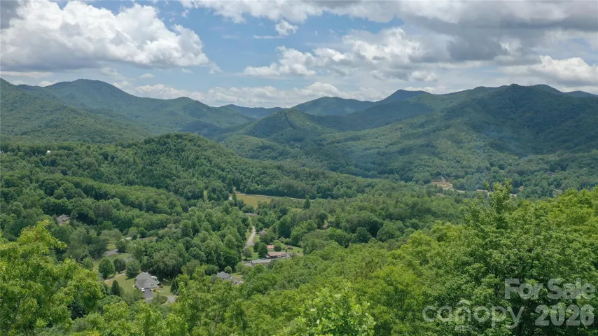 Tree top drone shot
