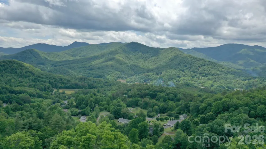 Tree top drone shot
