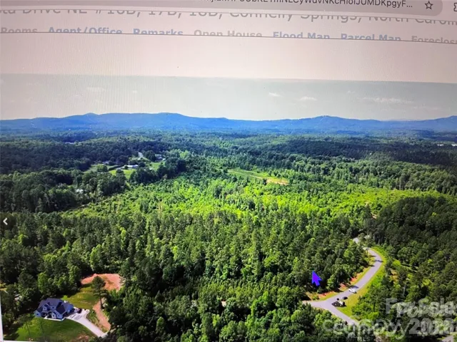 Aerial View of both lots