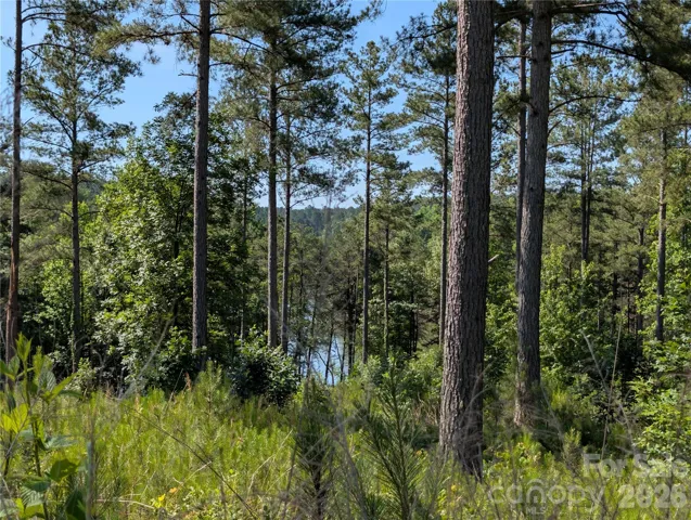 Beautiful waterfront lot