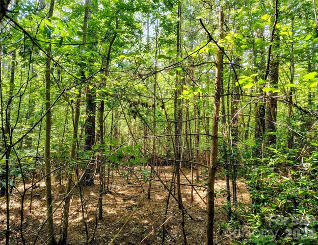 2.04 Acre Lot 7 in Harbor Ridge Subdivision