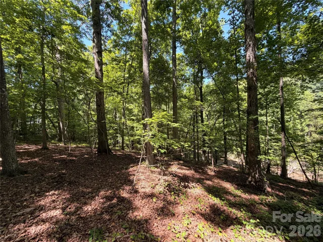 Beautiful Mature Hardwoods Sparsely Scattered on lots