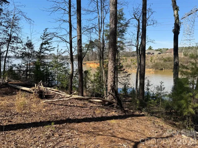 view from homesite