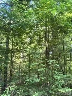 Hardwoods