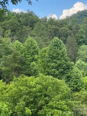 Beautiful wooded property with awesome views.