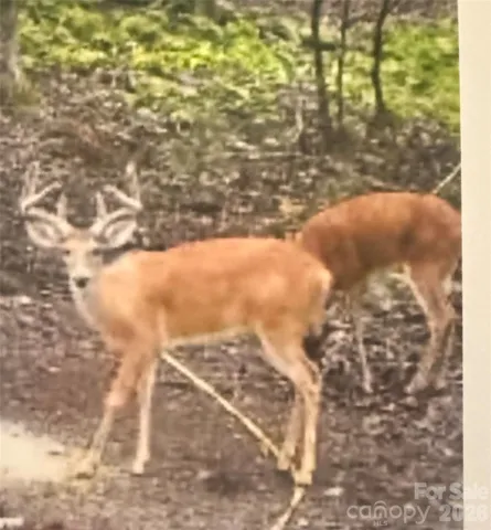 1170