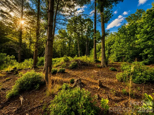 201 CROSS CREEK N RIDGE DR MARION, NC Lot 46 Cross Creek, Level Building Lot