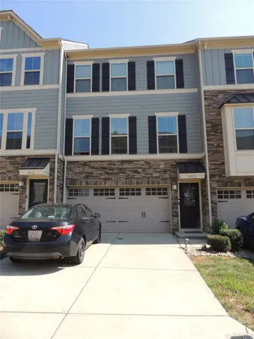1912 Catkin LN