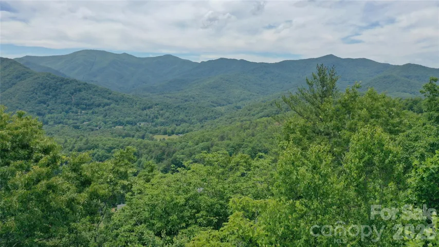 Tree top drone shot