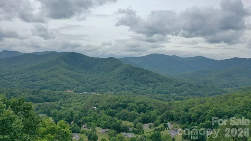 Tree top drone shot