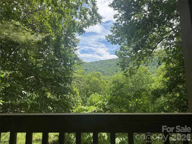 The view from the porch