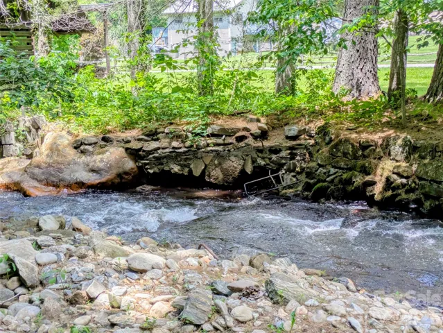 Bold Creek runs across entire back of this lot