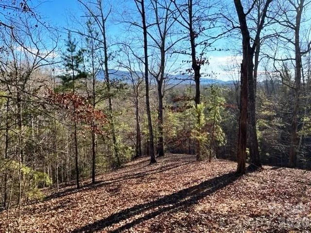 Partially cleared building sitewith mountain views.