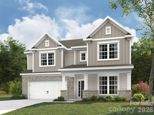 Elevation rendering only