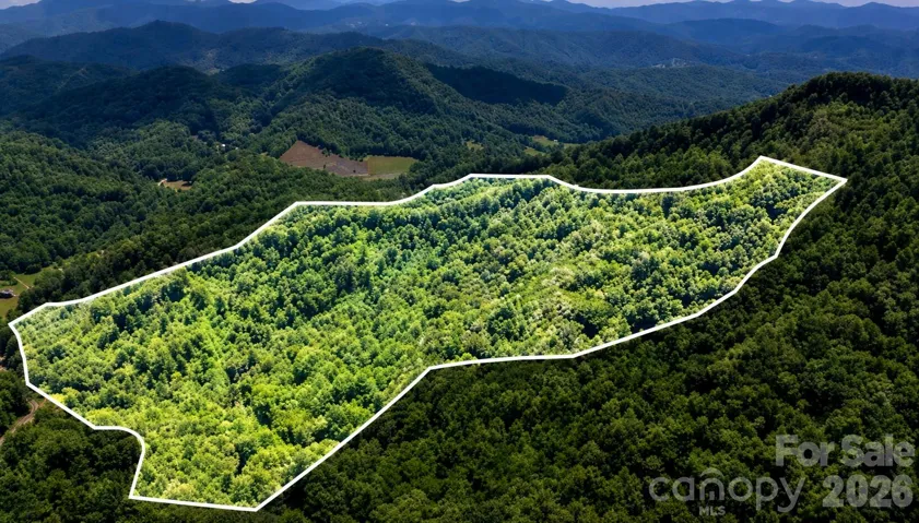 TBD Windy Gap Road Mars Hill, NC 28754 - Nearly 50 Acres - Underground Power and Gravel Road In Place -  No Restrictions