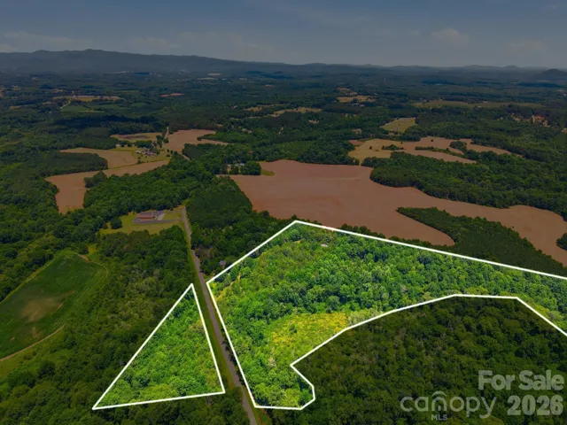 Main Parcel ID#36250 19.74 Acres Approx. Lot Lines