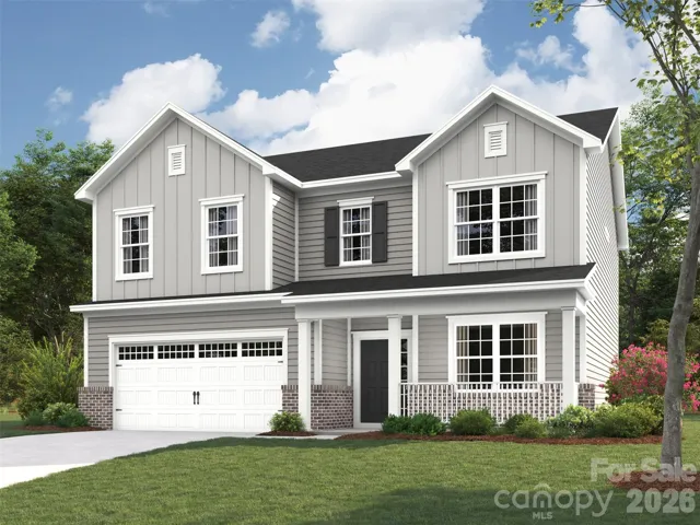 Elevation rendering only