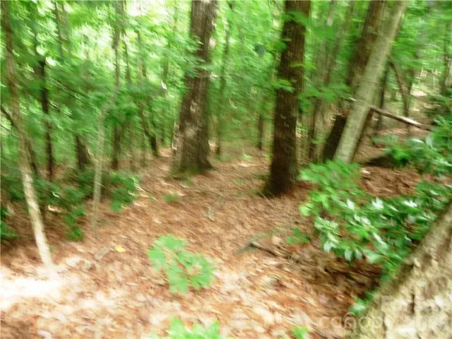 Lot 4