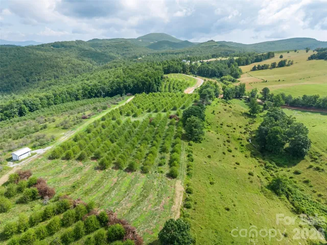 Orchard and pasture lot