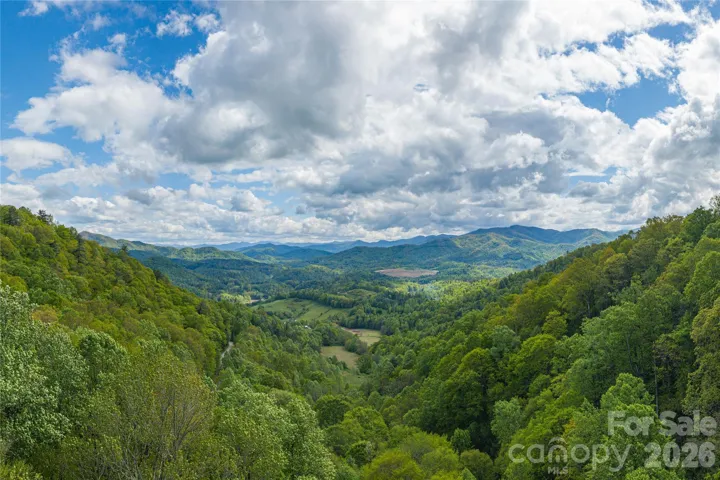 Potential long range views with clearing