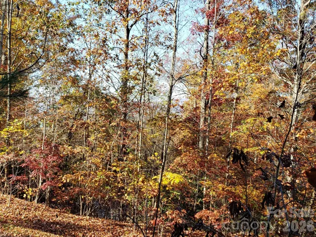 Beautiful lot in Oakwoods