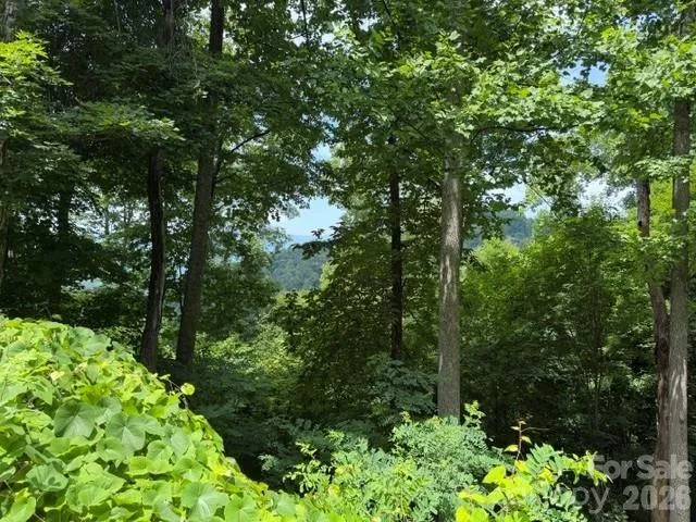 VIEW FROM ROAD FRONTAGE