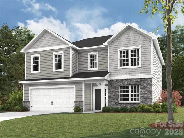Elevation rendering only