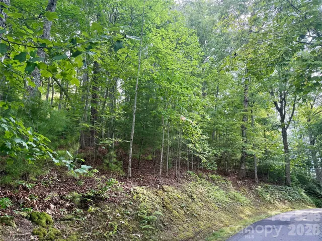 Beautiful wooded lot with an easy build site that is flat!