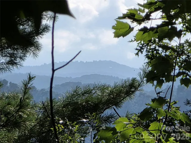 Portion of the mountain view seen from the lot