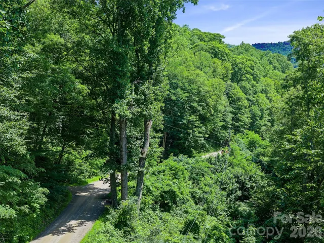 Looking up Deep Gap Road