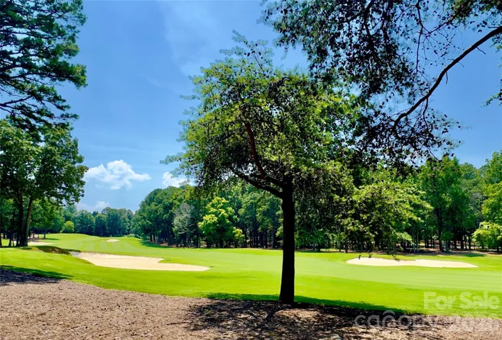 Golf Course View