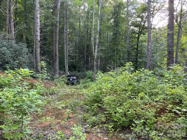 Moderately sloping lot has an existing well and septic permit (2 BR) already in place. Most of the lot is cleared. Just needs to be bush hogged. This is from the rear looking back toward the road. The vehicel is parked about 50 feet into the lot.