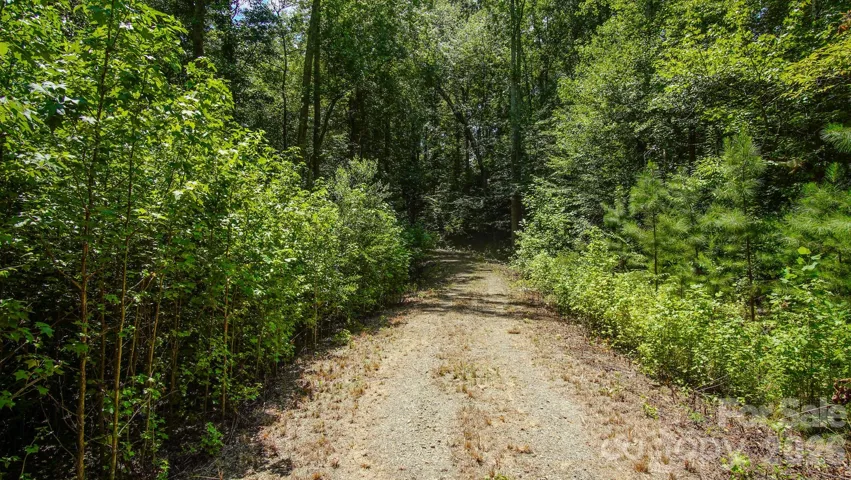 Well Established Access Road