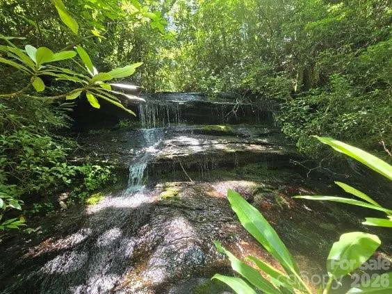 Ellicott Falls Upper Section is a lovely waterfall / cascade in the center 21.65 acres with multiple cascading creeks! These rocks are slippery! Stay Off the Rocks!