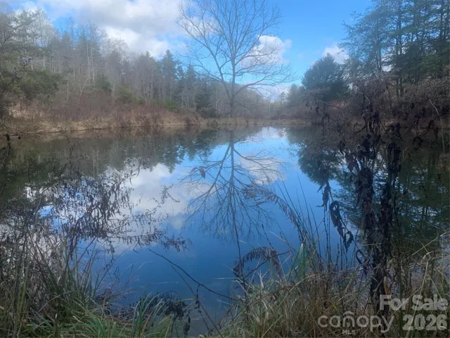 Epic Spring Fed Pond