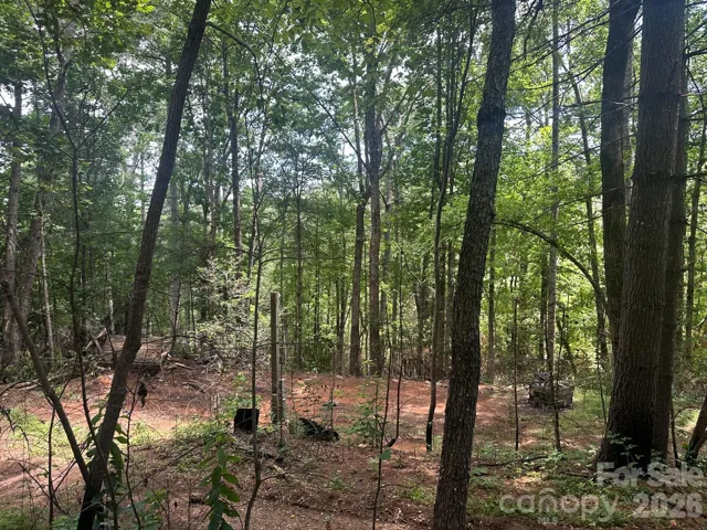 Lot 19