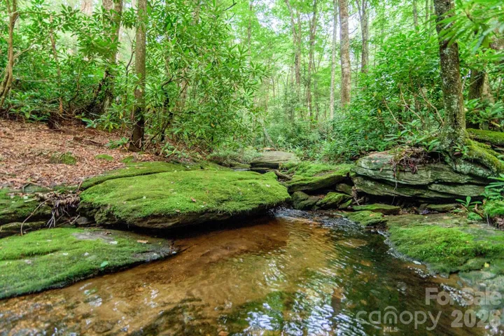 Stream along the walking trail at the west