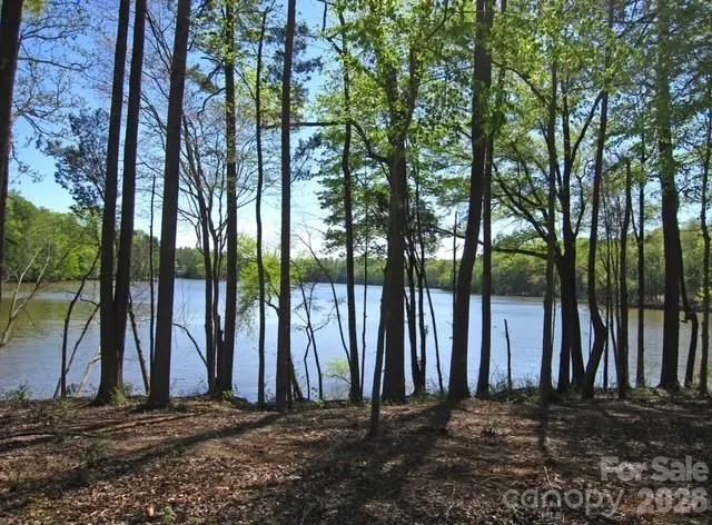 Spring Views