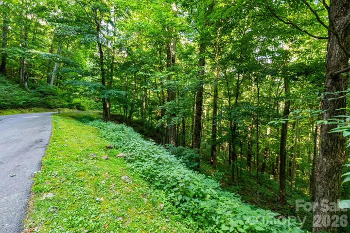 Lot 25