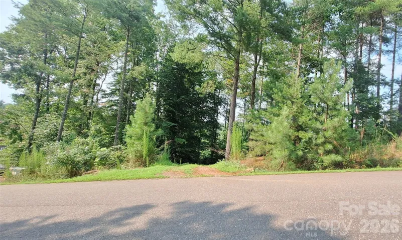 The road front of this lot. Also shows road opening leading to level spot for building.
