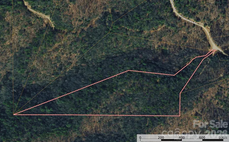 Lot 222 Casey Mountain Road +/-11 acres