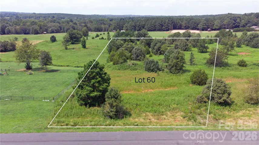 Approximate lot lines.