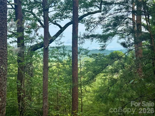 Layered Mountain View Potential