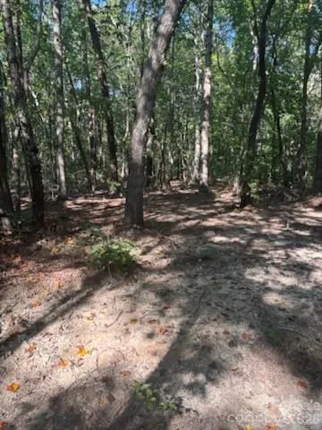 Bud Arndt Rd. Cleared Entrance1