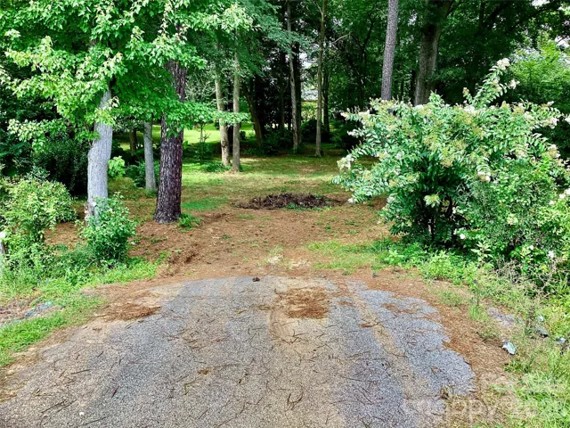 Looking into site from road cut.