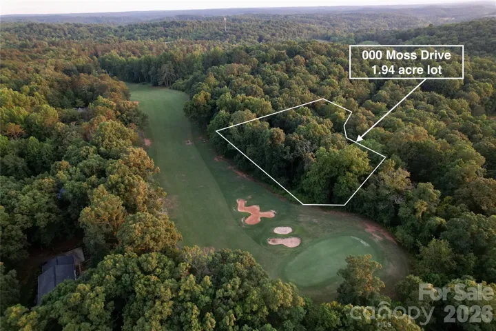 Approximate lot lines showing the beautiful lot.
