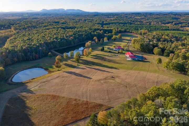 91+ acres with endless opportunity for an equestrian estate, private compound, corporate retreat, event/wedding venue, farm, hunting property, and more!