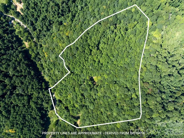 Idyllic 22-acre mountain property with a driveway, graded homesite, and natural spring.