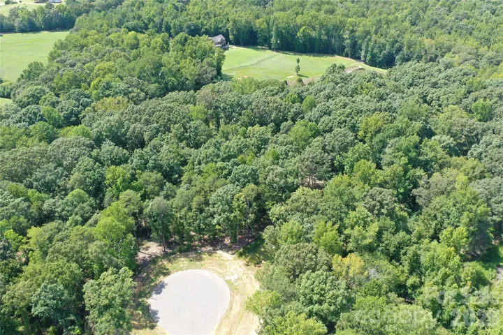 Aerial Lot Photo
